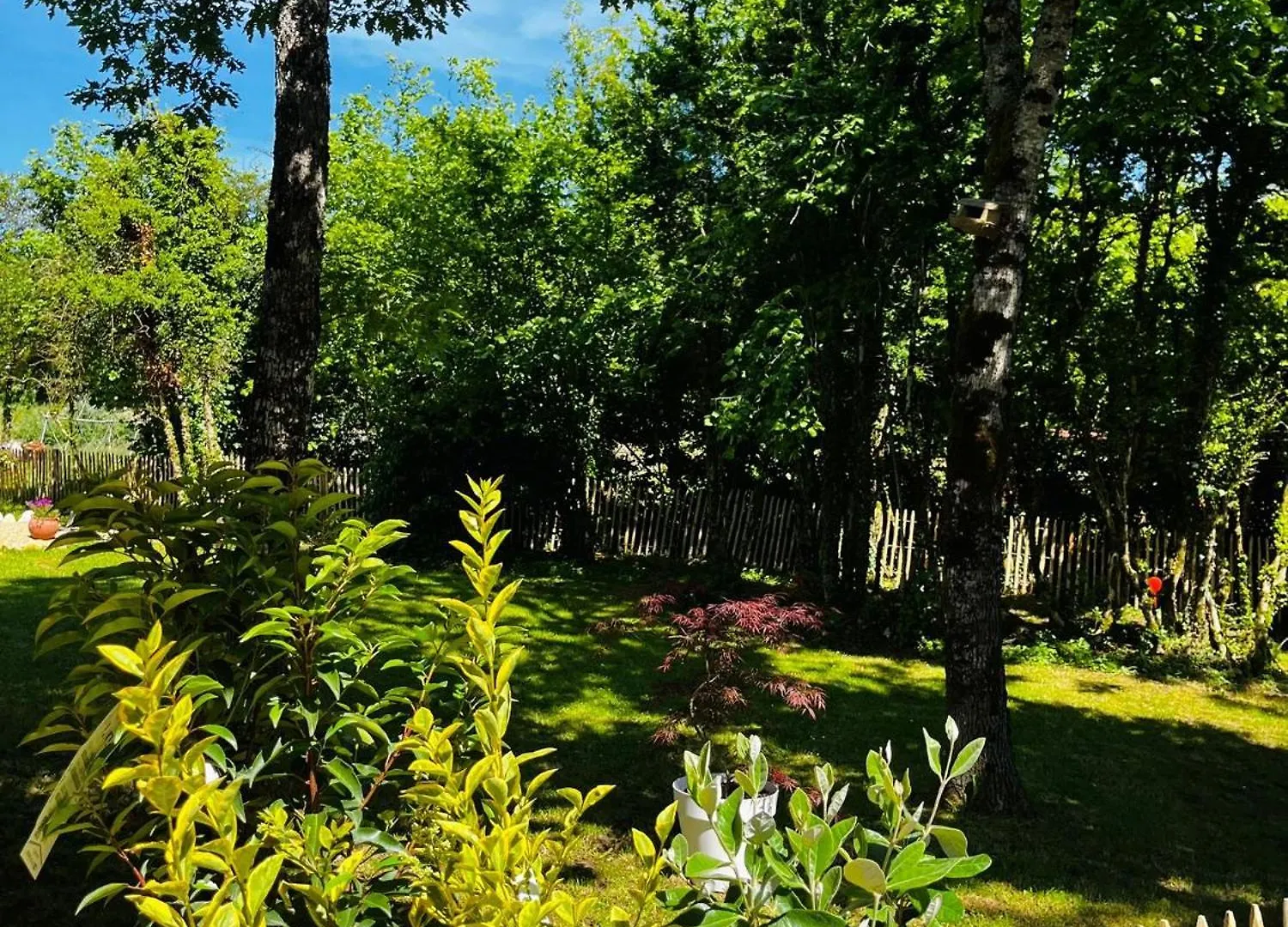 Country Cottage & Spa Labalme 0*,  Frankrig